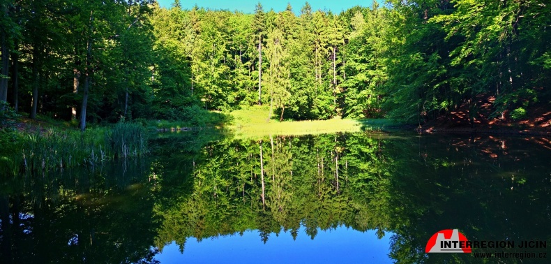 Panorama z hradu Brada